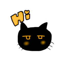 Kuro of the black cat