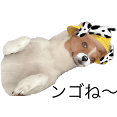 Kchan_20210614185800