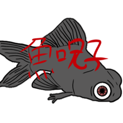 rei_20210614214235