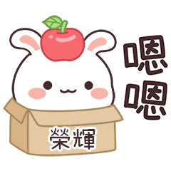 嬌嬌兔姓名貼_榮輝專用