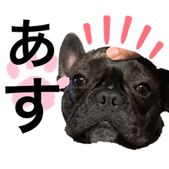 akiko_20210614222702