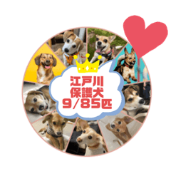 Rescued Dogs "Edogawa 9/85" vol.01