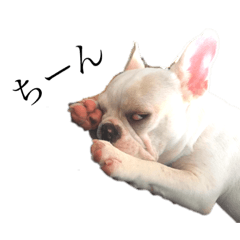 yamada_20210614225549