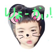 kinopis