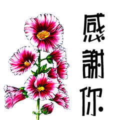 Mood flower language1