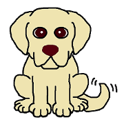 Yellow Lab's daylife