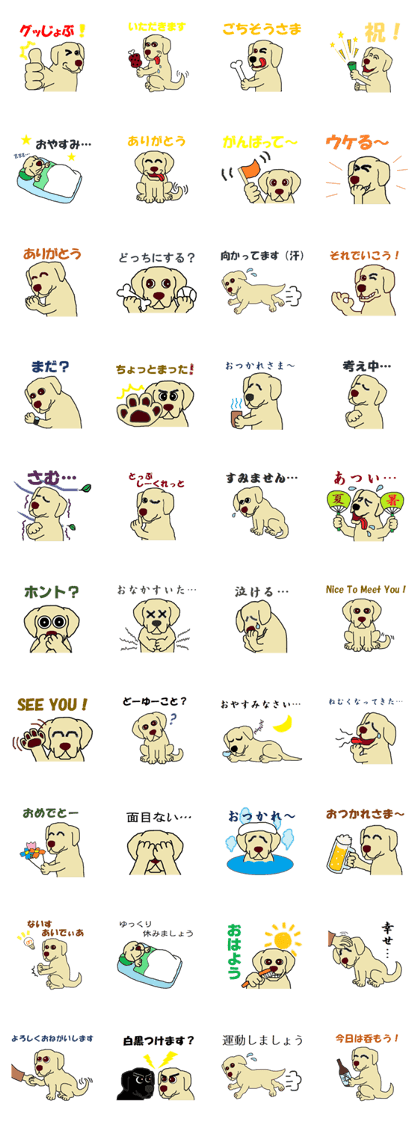 Yellow Lab's daylife