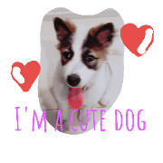 My Name Is Mama I'm a cute puppy