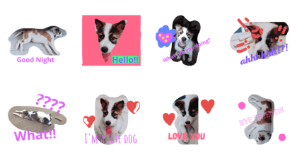 My Name Is Mama I'm a cute puppy