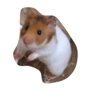 hamster life stamp