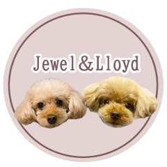 Jewel&Lloyd3
