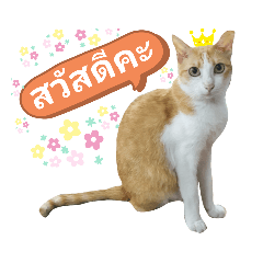 SALLY_20210614161641