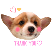 my dog "purin"sticker