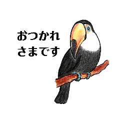 greening of toucan