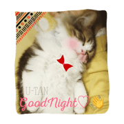 MY cute pets u-tan