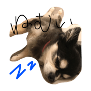 koron's stamp
