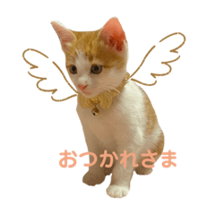 yuka_20210615141948