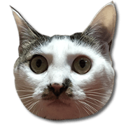 Cats photo stickers
