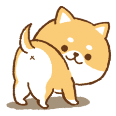 Moving!Cute Shiba Inu to use everyday01