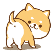 Moving!Cute Shiba Inu to use everyday