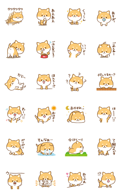 Moving!Cute Shiba Inu to use everyday