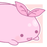 cute salamander