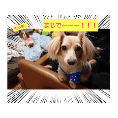 MiMi_20210615105114