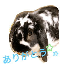 yuka_20210615131417
