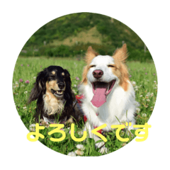 Saori_20210615151445