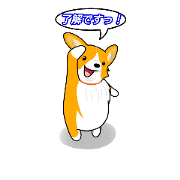 corgi-plus