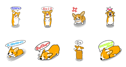corgi-plus