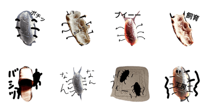 bread cockroach