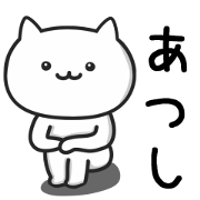 Cat for ATSUSHI Daily Use
