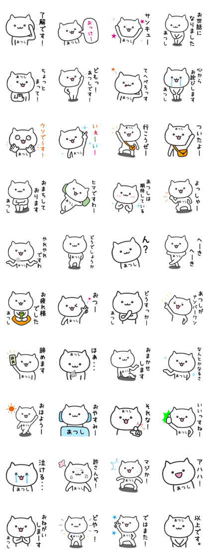 Cat for ATSUSHI Daily Use
