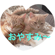 cat.cat.gonta
