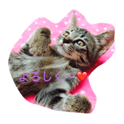 nekochan stamps
