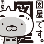 Bustling cat(2)