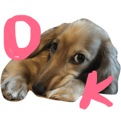 puppy stamp 2