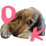 puppy stamp 2