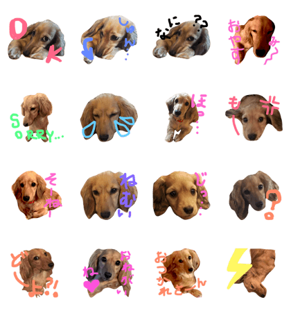 puppy stamp 2