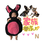 Remis sticker