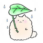 pompom pomeranian3