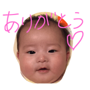 SATSUKI 3
