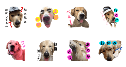 Himechan Himechan 777.