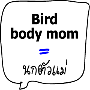 translate