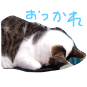 kotaro3