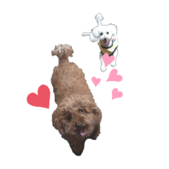 Nozomi_20210615155301