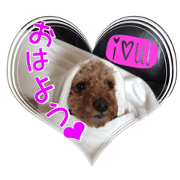 pootaro