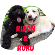 RIBON&ROKU