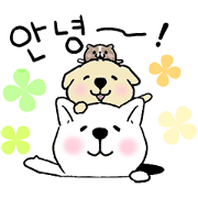 Lovely dogs and a guinea pig(Korean)